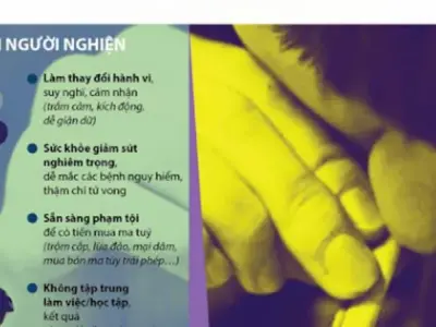 Tác hại của ma túy đá đối với sức khỏe con người