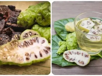Tác hại của trái nhàu các bạn nên biết