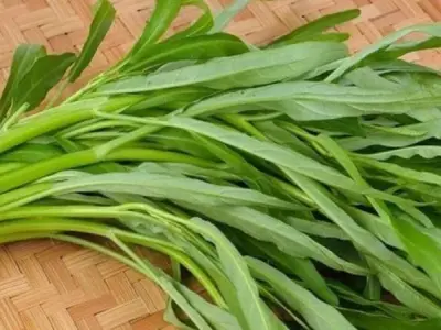 Tác hại của việc ăn nhiều rau muống