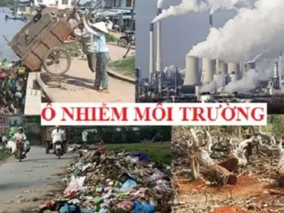 10 tác hại ô nhiễm môi trường với sức khỏe bạn nên biết