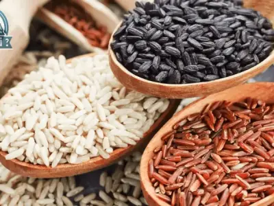 Gạo lứt có thực sự tốt? Những tác hại của gạo lứt cần chú ý