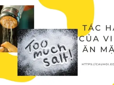 Tác hại ăn mặn - Nguy cơ đối với sức khỏe bạn nên biết