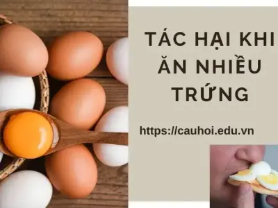 Những tác hại của việc ăn nhiều trứng bạn nên biết