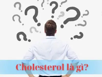Cholesterol là gì? Tất cả những điều cần biết về Cholesterol