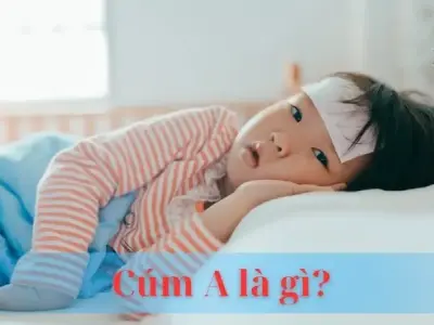 Cúm A là gì? Nguyên nhân, biểu hiện và cách phòng ngừa cúm A