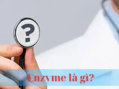 Enzyme là gì? Khái niệm và vai trò quan trong của enzyme
