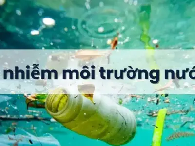 Ô nhiễm môi trường nước - Hệ lụy nghiêm trọng cho cuộc sống