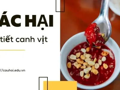 Tác hại ăn tiết canh vịt - Lời cảnh báo từ các bác sĩ