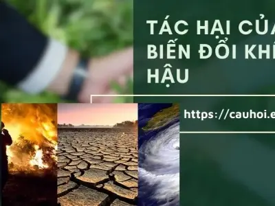 Tác hại của biến đổi khí hậu - Những nguy cơ đáng lo ngại