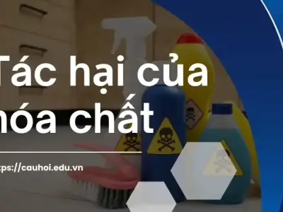 Tác hại của hóa chất đối với sức khỏe - Những điều bạn cần biết