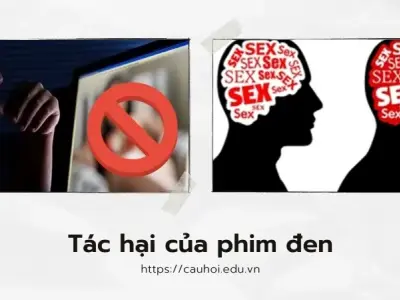 Tác hại phim đen đối với giới trẻ – Những hậu quả khó lường