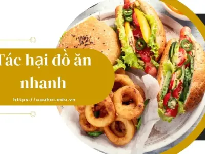 Tác hại đồ ăn nhanh - Cảnh giác trước những nguy cơ tiềm ẩn