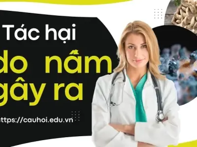 Tác hại do nấm gây ra - Nhận diện và cách phòng tránh