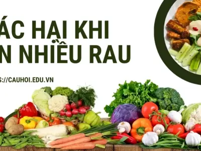 Tác hại khi ăn nhiều rau - Những điều bạn cần biết