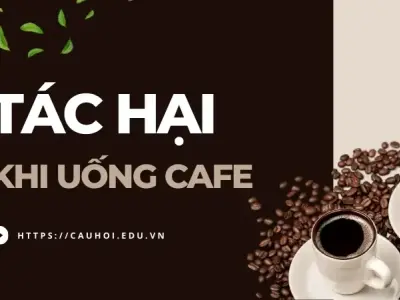 Tác hại khi uống Cafe - Nguy cơ tiềm ẩn cho sức khỏe