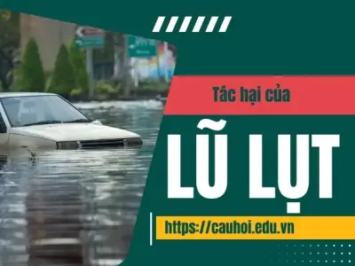 Tác hại lũ lụt - Cảnh báo nguy cơ cho các thành phố lớn