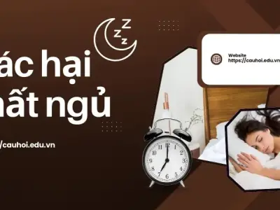 Tác hại của mất ngủ  - Làm thế nào để nhận biết và khắc phục?