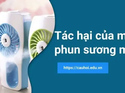 Tác hại máy phun sương mini - Nguyên nhân và cách khắc phục