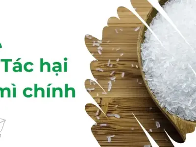 Tác hại mì chính - Kiến thức cần thiết cho mọi gia đình