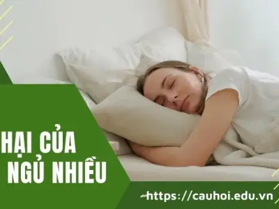 Tác hại ngủ nhiều – Những điều bạn cần biết để tránh
