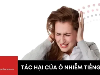Tìm hiểu tác hại ô nhiễm tiếng ồn đến sức khỏe con người