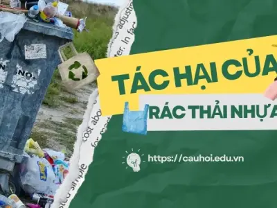 Tìm hiểu tác hại của rác thải nhựa đối với tương lai