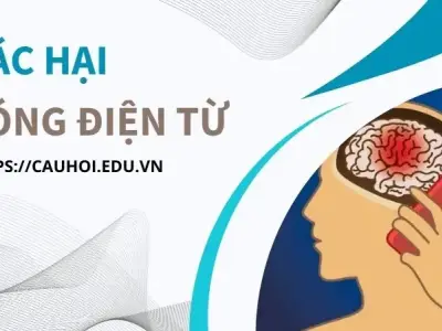 Tác hại sóng điện từ - Thực hư và sự thật khoa học