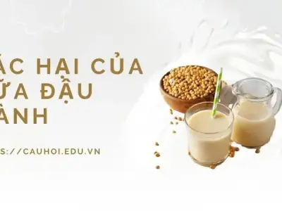 Sữa đậu nành có gây hại cho sức khỏe? Sự thật bất ngờ