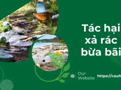 Tác hại xả rác bừa bãi - Nguyên nhân gây ô nhiễm môi trường