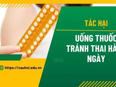 Sự thật về tác hại uống thuốc tránh thai hàng ngày