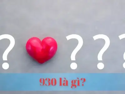 930 là gì? Ý nghĩa và ứng dụng của mã số 930