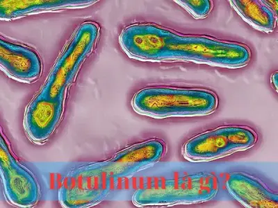 Botulinum là gì? Cấu tạo và ứng dụng của độc tố Botulinum