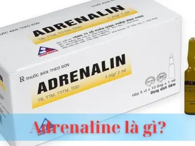 adrenaline là gì? Vai trò và tác động của Adrenaline 