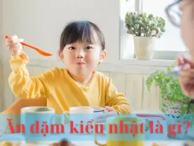 Ăn dặm kiểu nhật là gì? Lợi ích và cách áp dụng ăn dặm kiểu Nhật