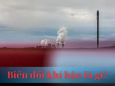 Biến đổi khí hậu là gì? Nguyên nhân và giải pháp cho biến đổi khí hậu