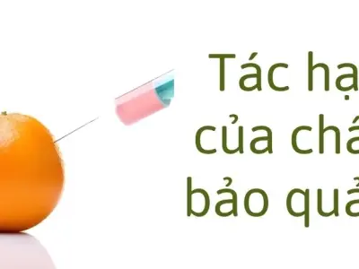 Tác hại của chất bảo quản ảnh hưởng sức khỏe lâu dài