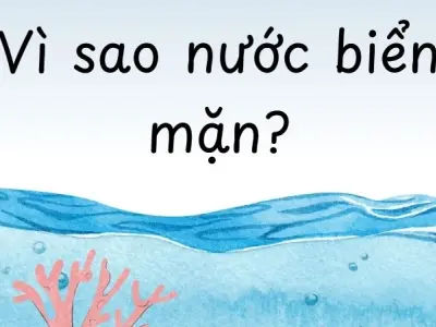 Vì sao nước biển mặn? Giải mã hiện tượng từ tự nhiên