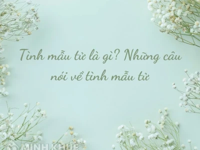 100+ Câu nói hay về tình mẫu tử: Nét đẹp thiêng liêng của mẹ