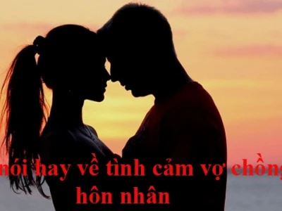 100+ Câu Nói Hay Về Tình Nghĩa Vợ Chồng và Hạnh Phúc Gia Đình