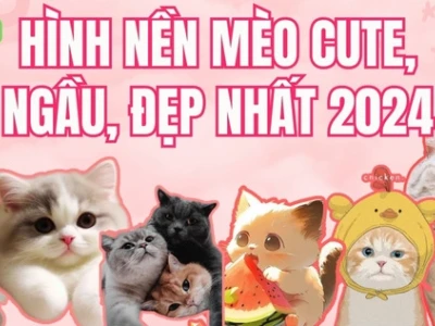 Avatar Mèo Cute Anime: Tuyển Tập Hình Nền Độc Đáo 2026