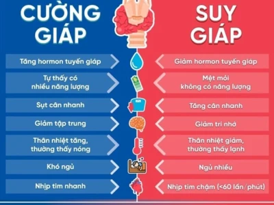 Cường giáp và tuyến giáp: những điểm khác biệt cần biết