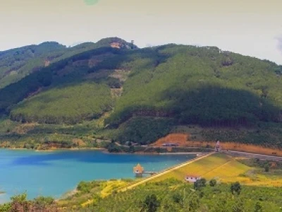 Di Linh Ở Đâu Khám Phá Vẻ Đẹp Thiên Nhiên Và Văn Hóa