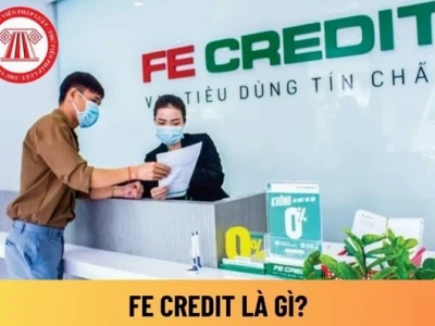 FE là gì trong xuất nhập khẩu? Các loại phí FE và cách xác định chi phí vận chuyển