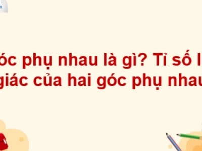 Hai góc phụ nhau là hai góc như thế nào và những điều cần biết
