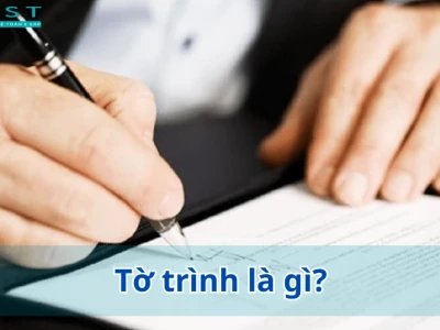 Hướng dẫn chi tiết cách làm tờ trình chuẩn xác và hiệu quả nhất 2026