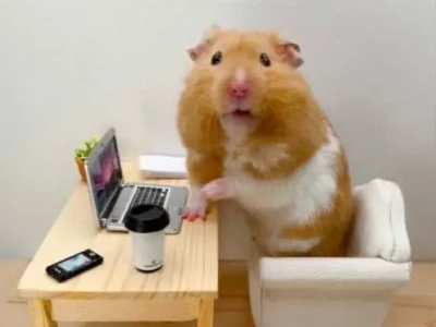 Khám phá Avatar Chuột Cute: Biến hóa Trải nghiệm Trực tuyến