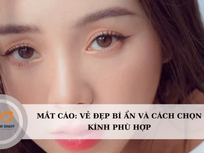 Mắt cáo là mắt như thế nào? Ý nghĩa và đặc điểm nhận diện