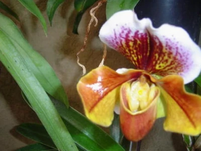 Những Câu Nói Hay Về Nghèo Bị Người Ta Khinh Truyền Cảm Hứng Sống Đẹp