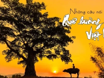 Những câu nói hay về quê hương đong đầy tình cảm và nỗi nhớ