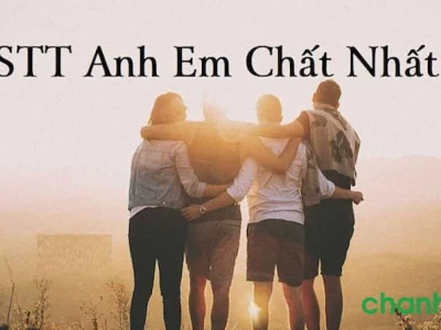 Những Câu Nói Hay Về Tình Anh Em Xã Hội Sâu Sắc Nhất